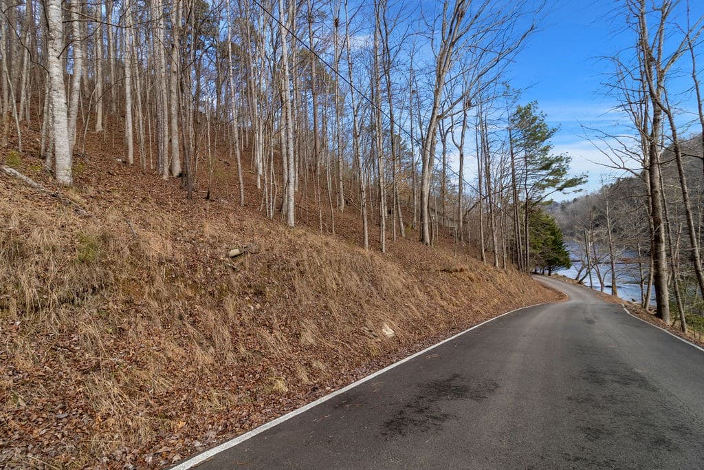Lot 2965 Monticello Drive, Ellijay GA 30540 - Photo