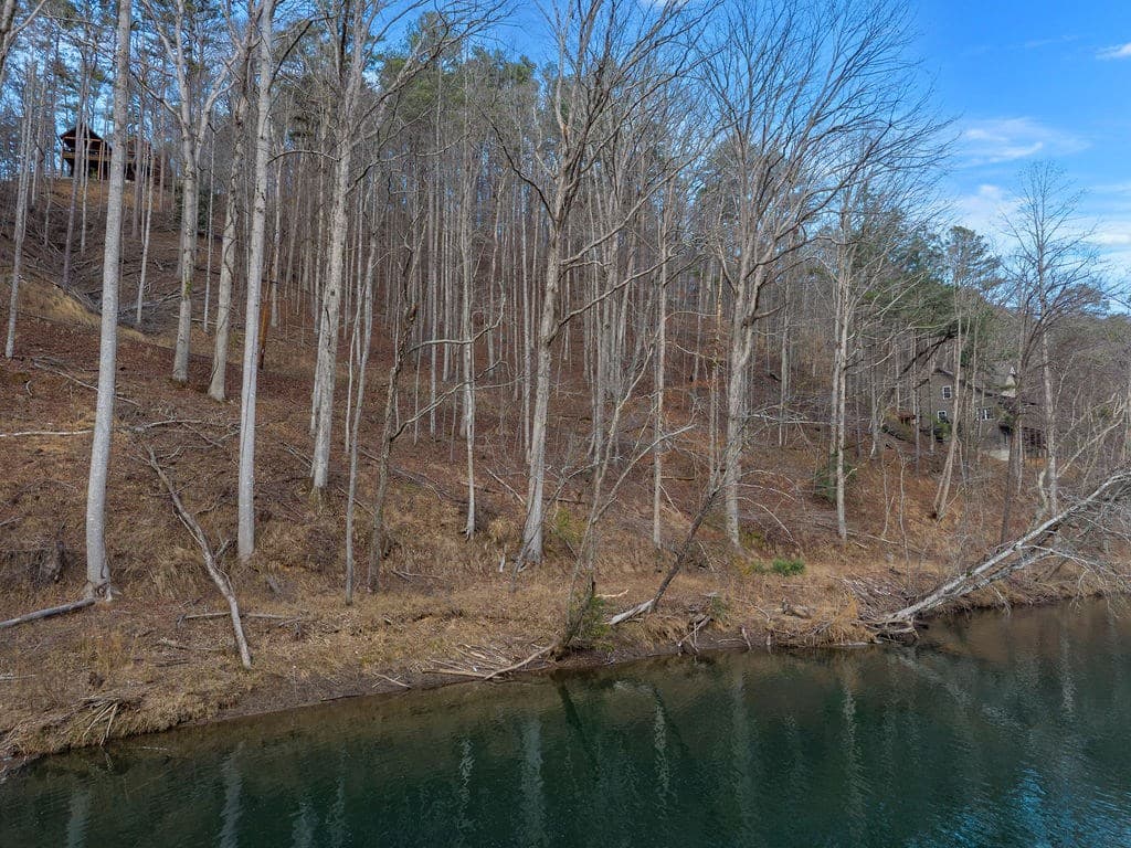 Lot 2965 Monticello Drive, Ellijay GA 30540 - Photo