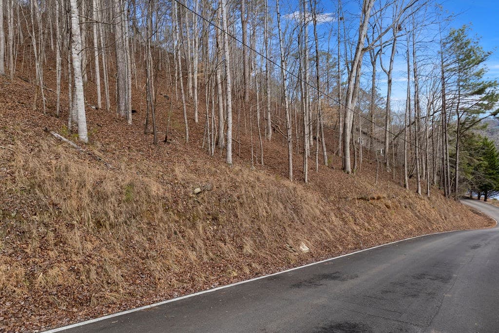 Lot 2965 Monticello Drive, Ellijay GA 30540 - Photo
