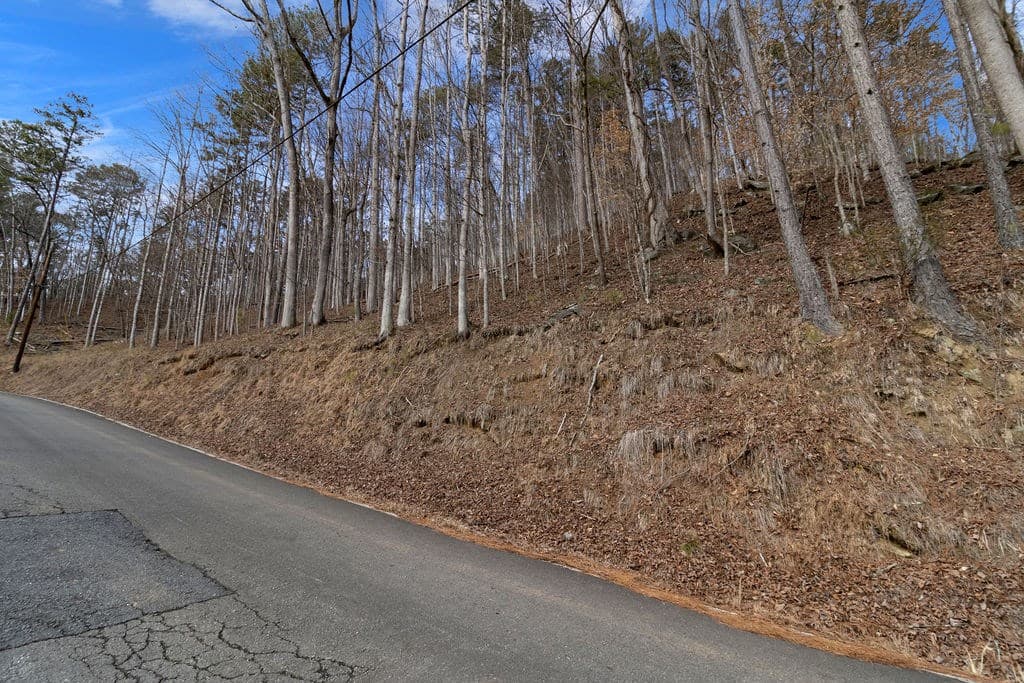 Lot 2965 Monticello Drive, Ellijay GA 30540 - Photo
