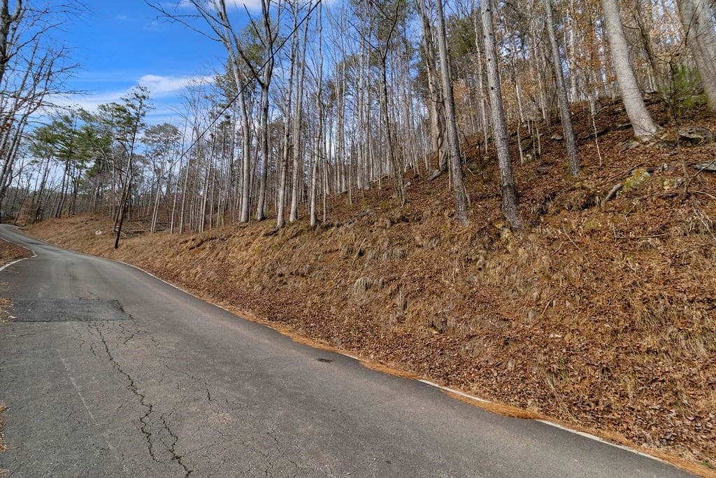 Lot 2965 Monticello Drive, Ellijay GA 30540 - Photo