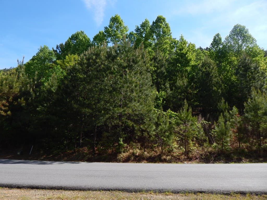 #361 The Cove At Thirteen Hundred, Blairsville GA 30512 - Photo