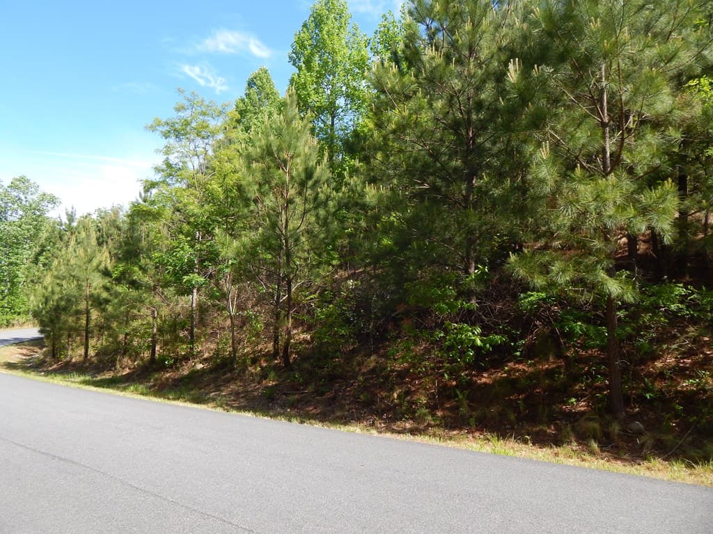 #361 The Cove At Thirteen Hundred, Blairsville GA 30512 - Photo