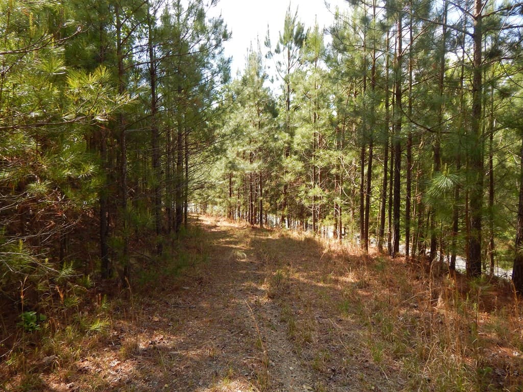 #361 The Cove At Thirteen Hundred, Blairsville GA 30512 - Photo
