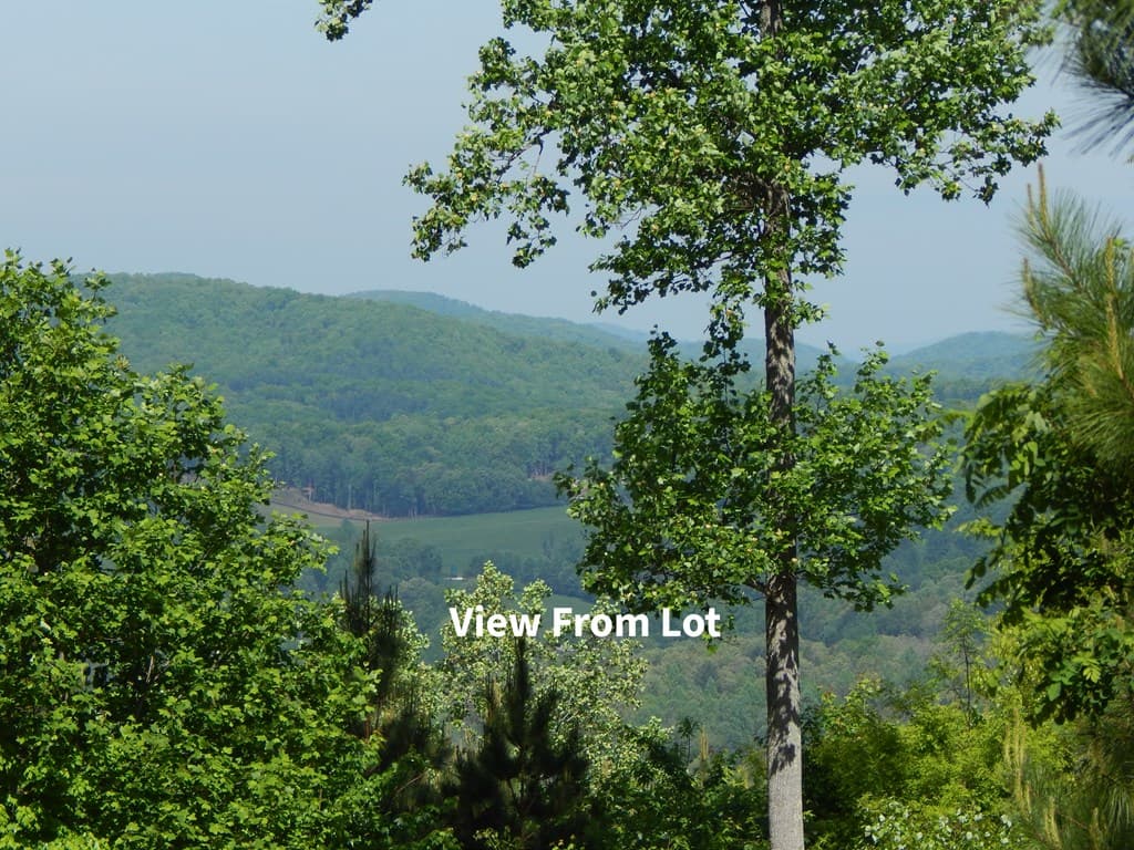 #361 The Cove At Thirteen Hundred, Blairsville GA 30512 - Photo