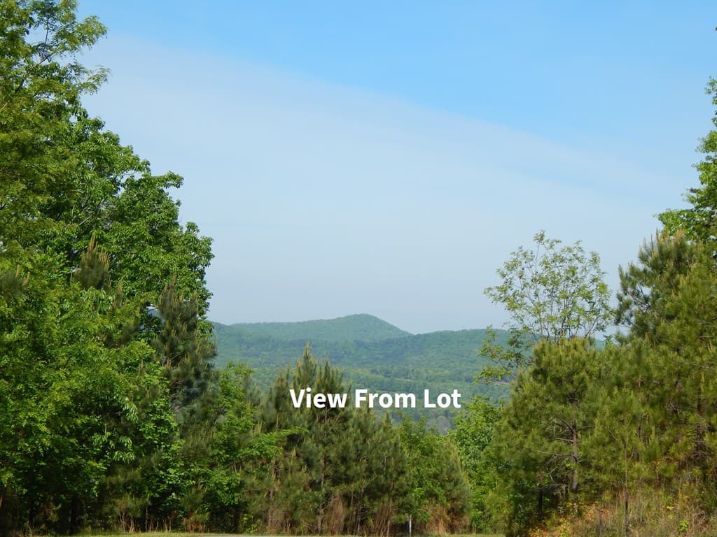 #361 The Cove At Thirteen Hundred, Blairsville GA 30512 - Photo