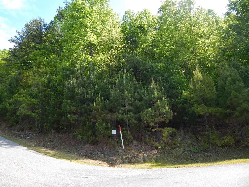 #361 The Cove At Thirteen Hundred, Blairsville GA 30512 - Photo