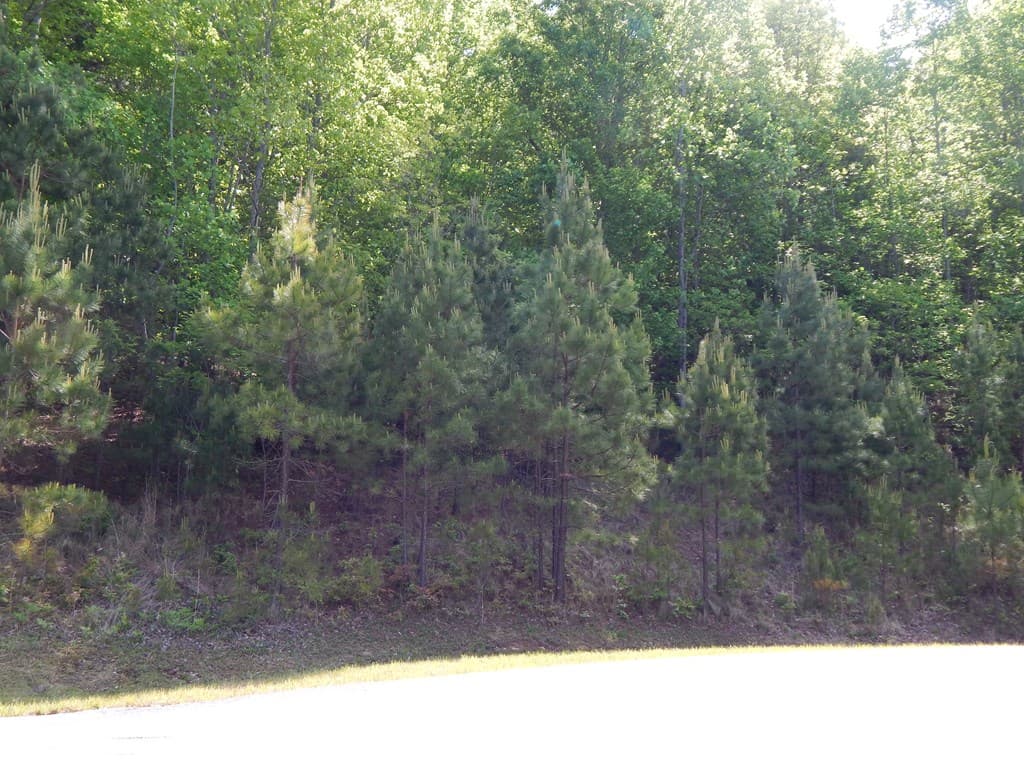 #361 The Cove At Thirteen Hundred, Blairsville GA 30512 - Photo