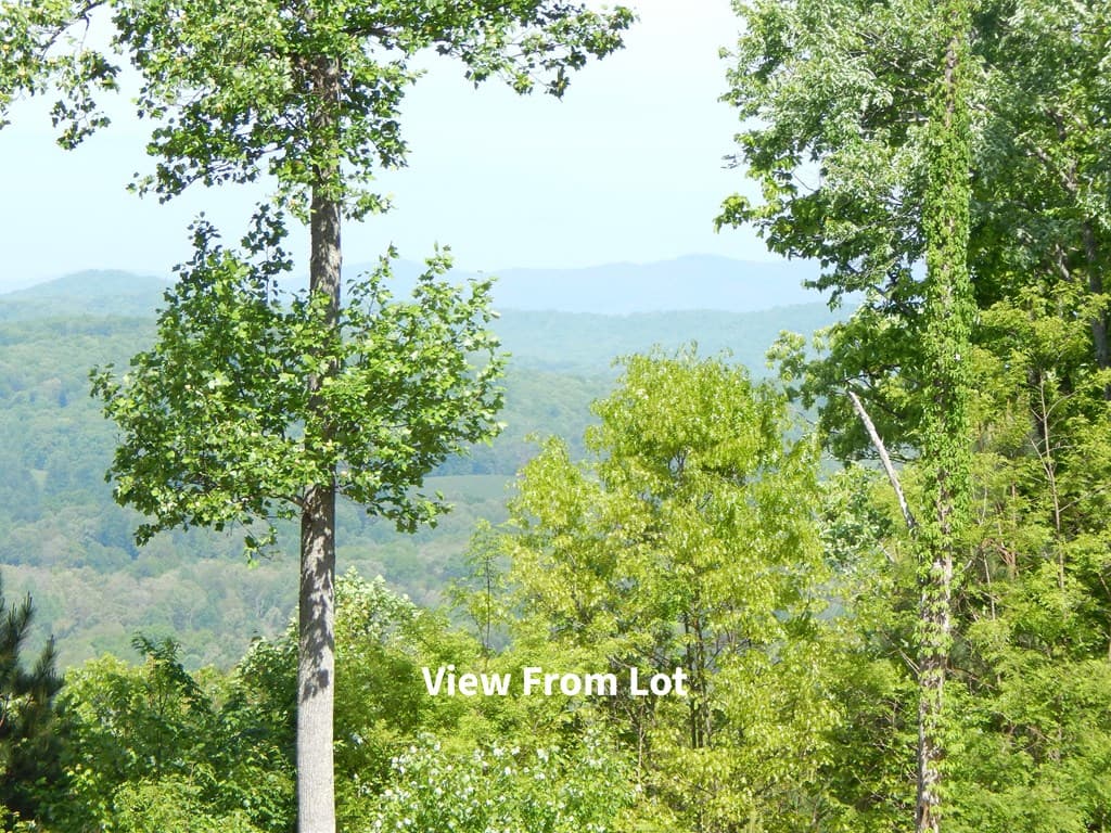 #361 The Cove At Thirteen Hundred, Blairsville GA 30512 - Photo