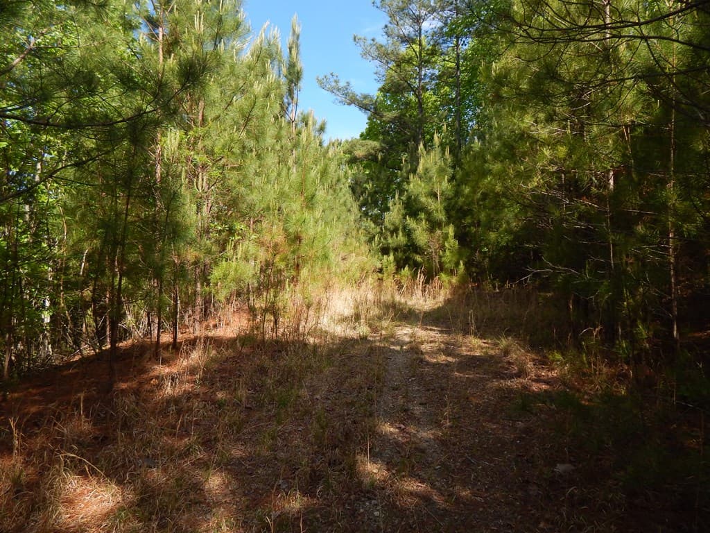 #361 The Cove At Thirteen Hundred, Blairsville GA 30512 - Photo