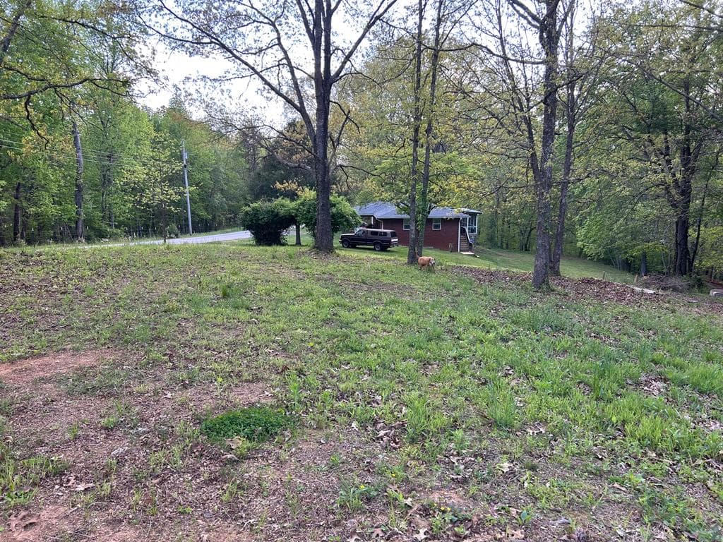 1658 Pleasant Hill, Blairsville GA 30512 - Photo