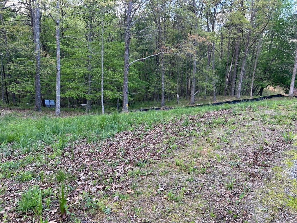 1658 Pleasant Hill, Blairsville GA 30512 - Photo