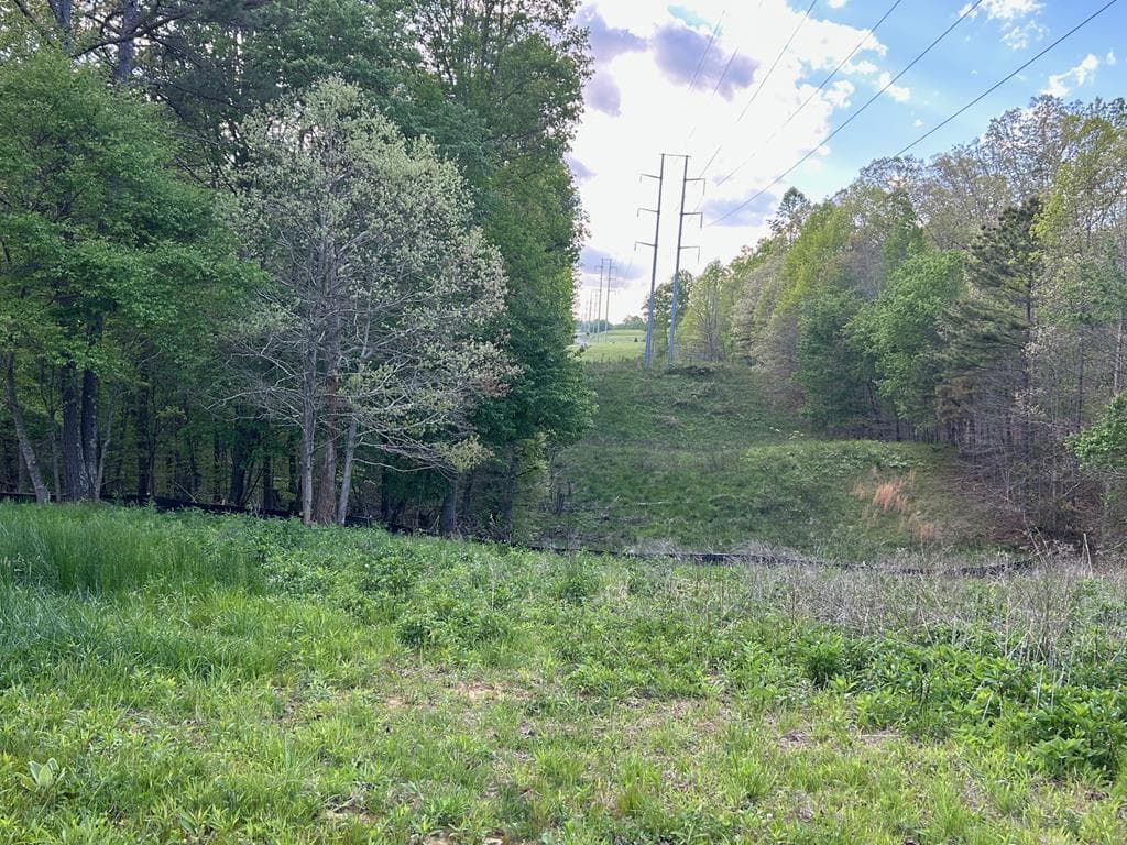 1658 Pleasant Hill, Blairsville GA 30512 - Photo