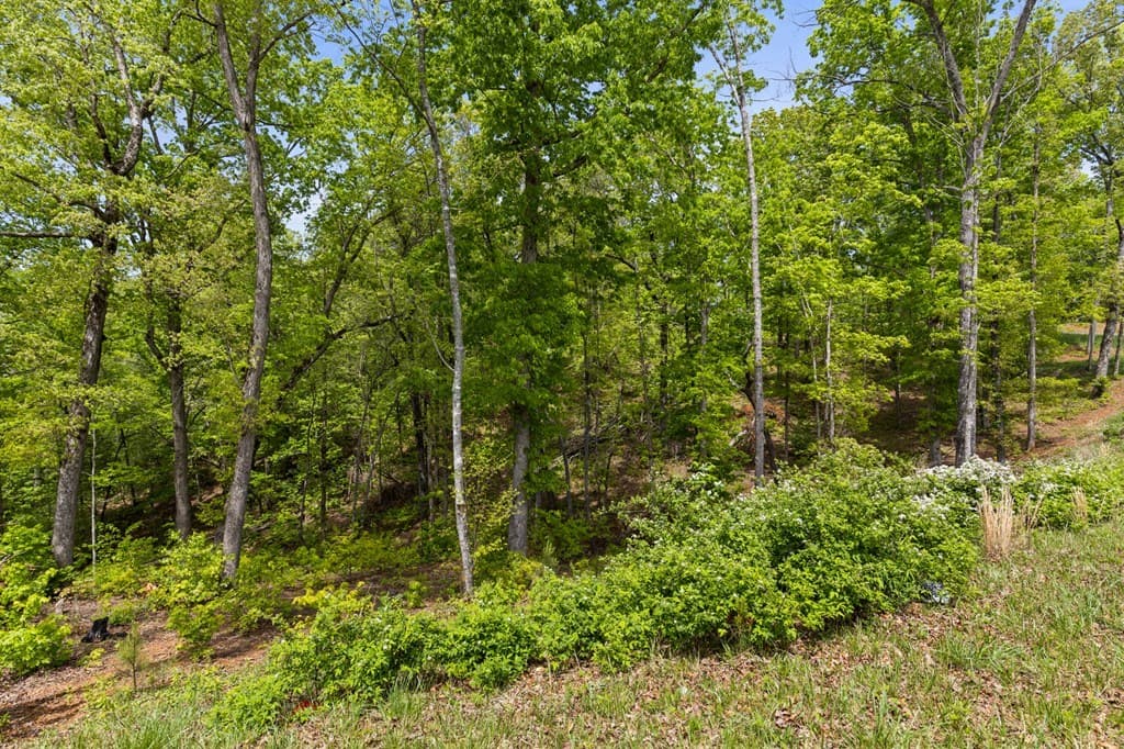 Lot 39 Jakes Landing Way, Ellijay GA 30540 - Photo