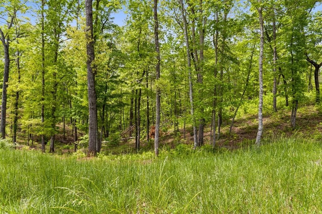 Lot 39 Jakes Landing Way, Ellijay GA 30540 - Primary photo