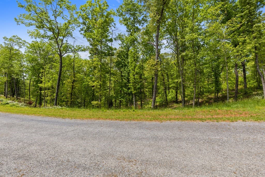 Lot 39 Jakes Landing Way, Ellijay GA 30540 - Photo