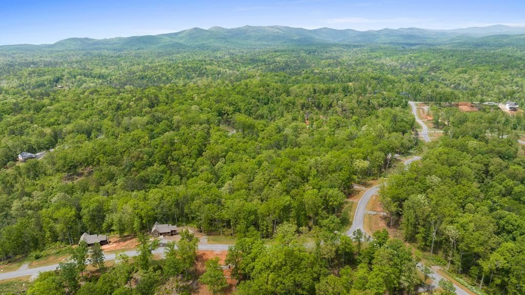 Lot 39 Jakes Landing Way, Ellijay GA 30540 - Photo