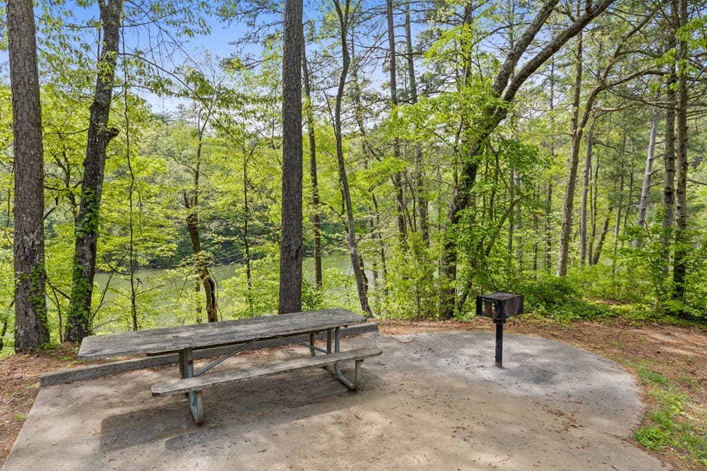 Lot 39 Jakes Landing Way, Ellijay GA 30540 - Photo