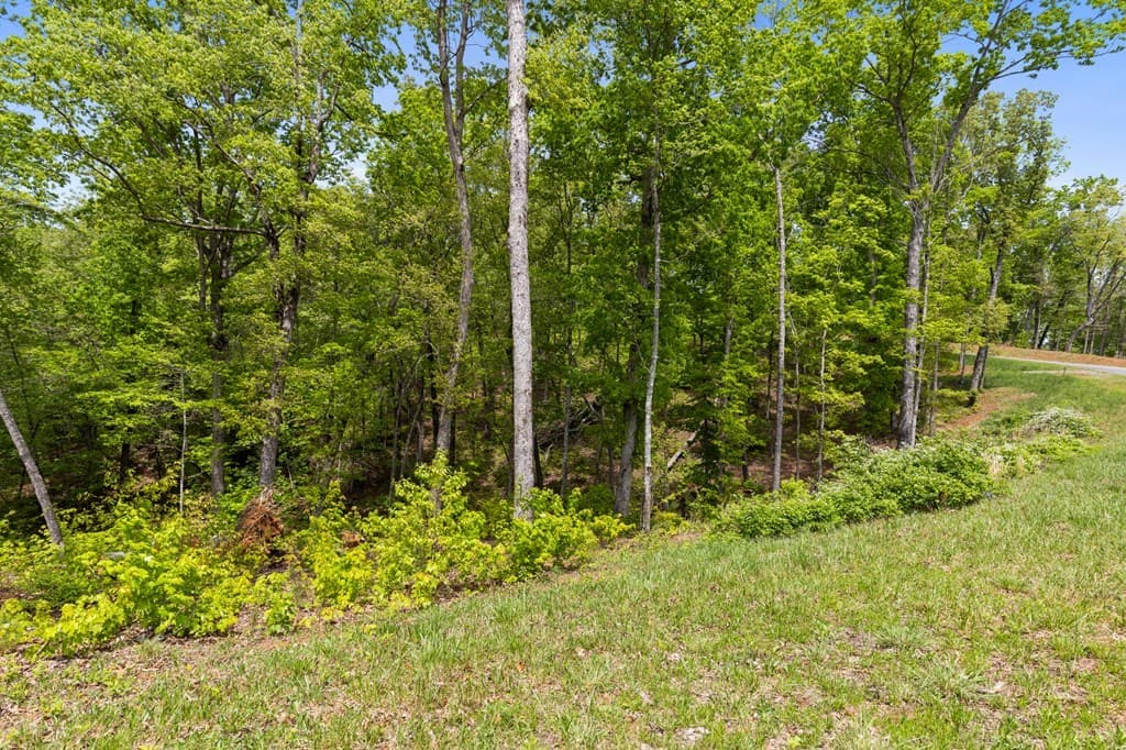 Lot 39 Jakes Landing Way, Ellijay GA 30540 - Photo