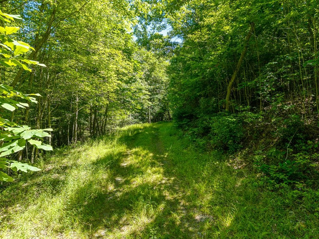 46 Green Kirby Lane, Blue Ridge GA 30513 - Photo