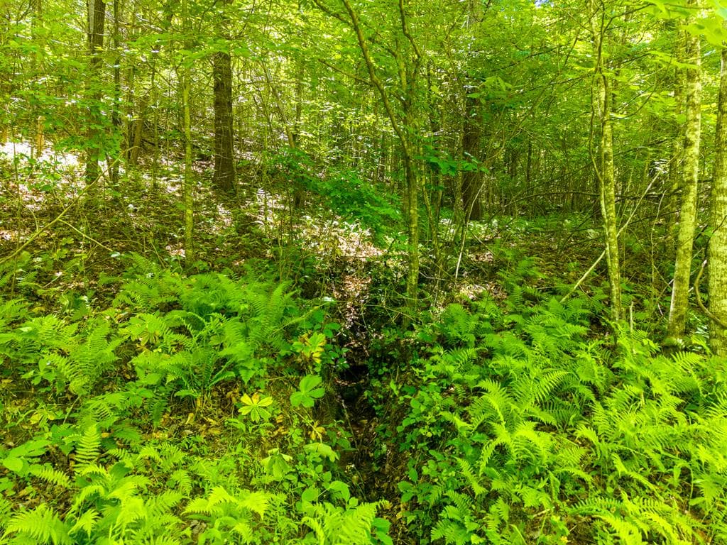 46 Green Kirby Lane, Blue Ridge GA 30513 - Photo