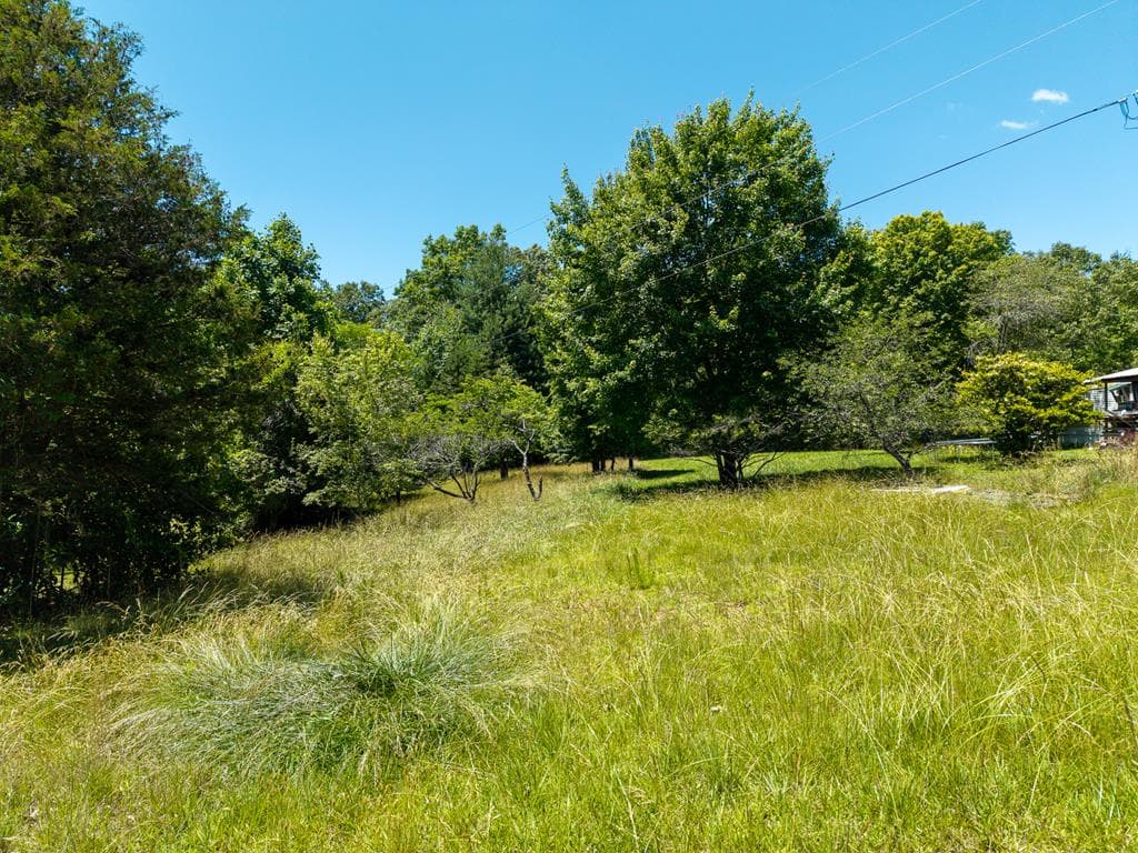 46 Green Kirby Lane, Blue Ridge GA 30513 - Photo