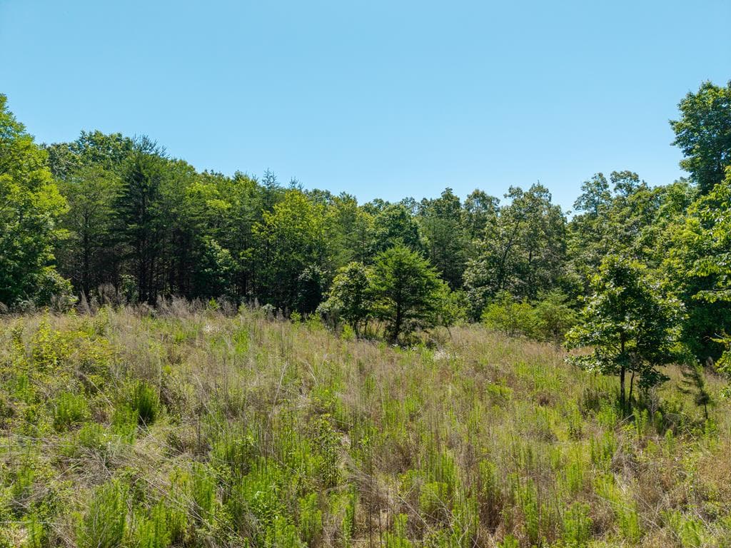 46 Green Kirby Lane, Blue Ridge GA 30513 - Photo