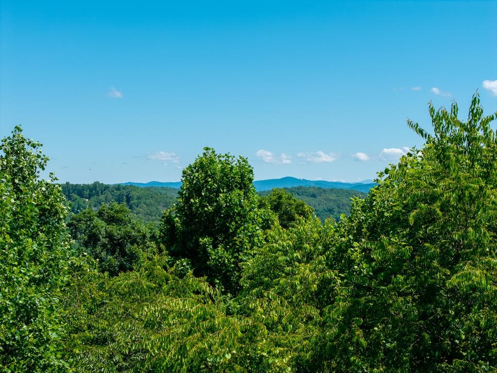 46 Green Kirby Lane, Blue Ridge GA 30513 - Photo