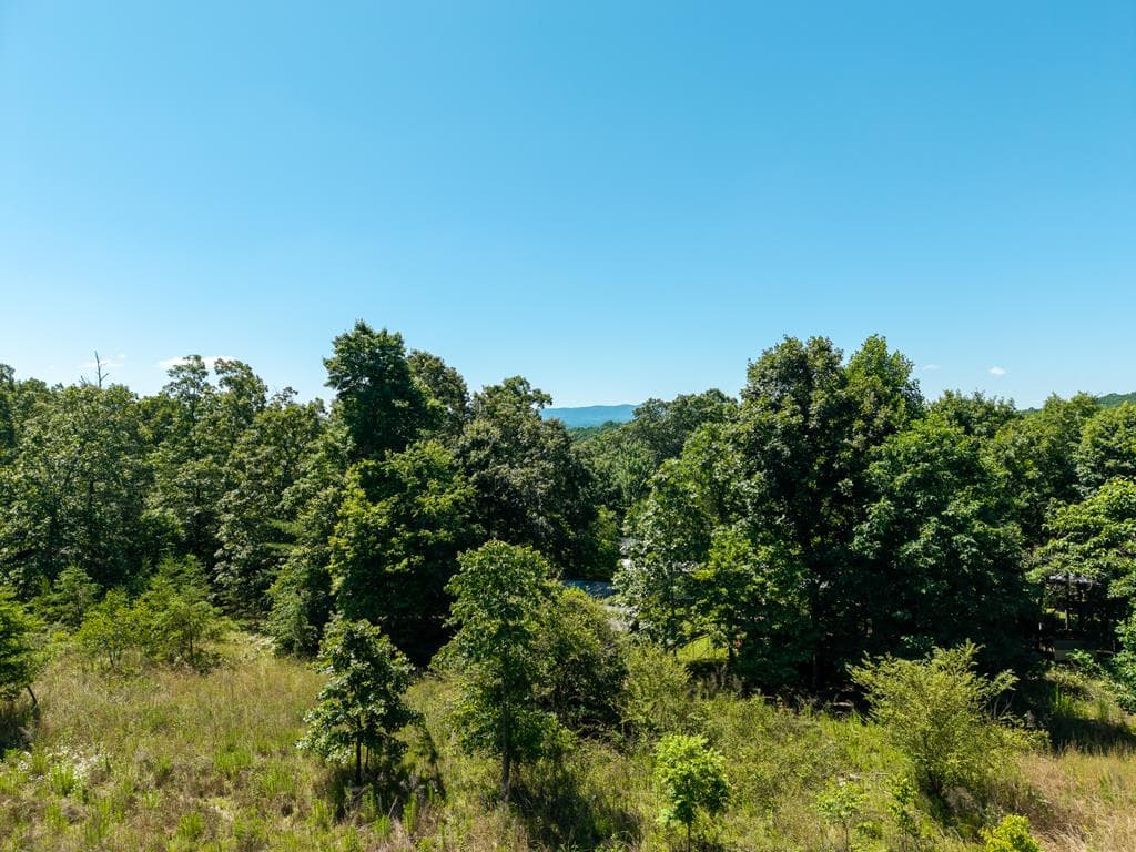 46 Green Kirby Lane, Blue Ridge GA 30513 - Photo