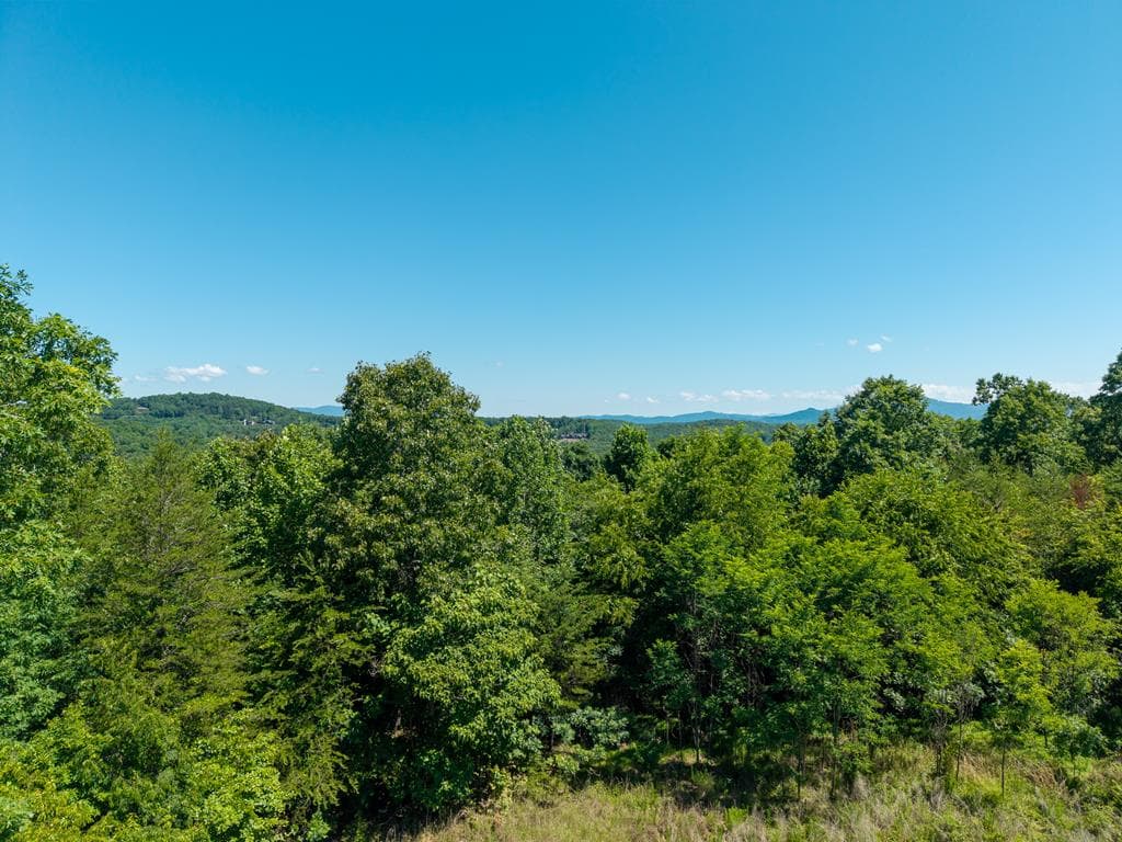 46 Green Kirby Lane, Blue Ridge GA 30513 - Photo
