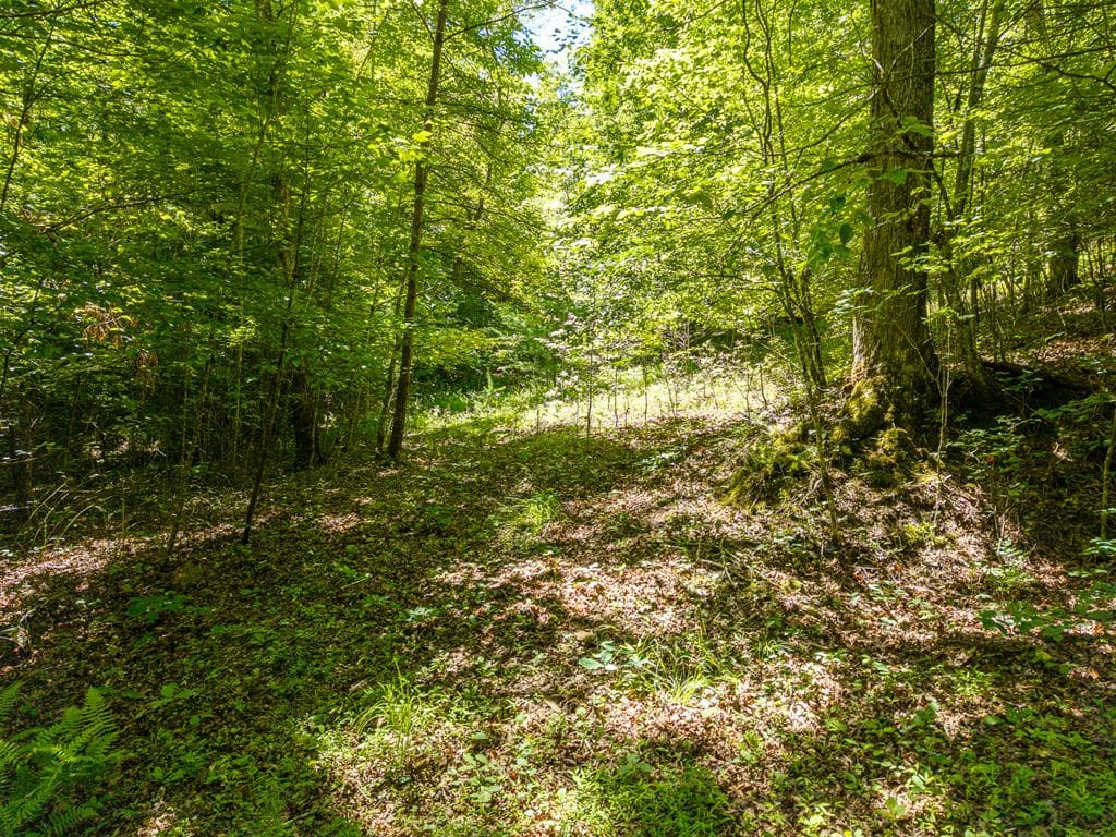 46 Green Kirby Lane, Blue Ridge GA 30513 - Photo
