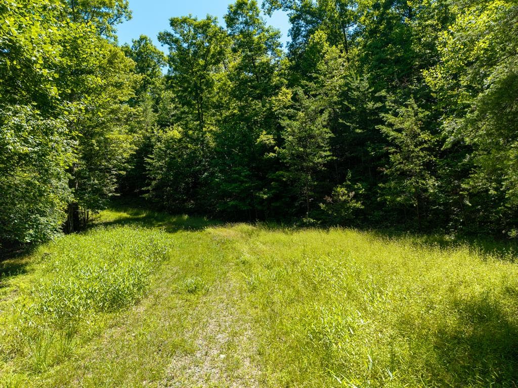 46 Green Kirby Lane, Blue Ridge GA 30513 - Photo