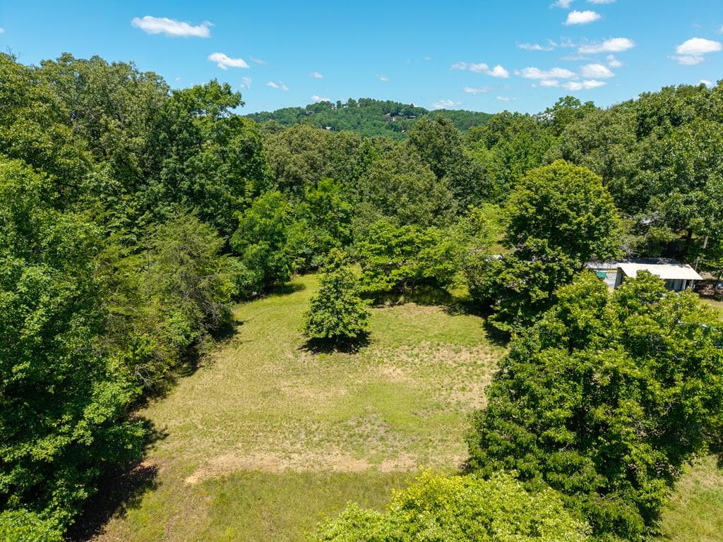 46 Green Kirby Lane, Blue Ridge GA 30513 - Photo