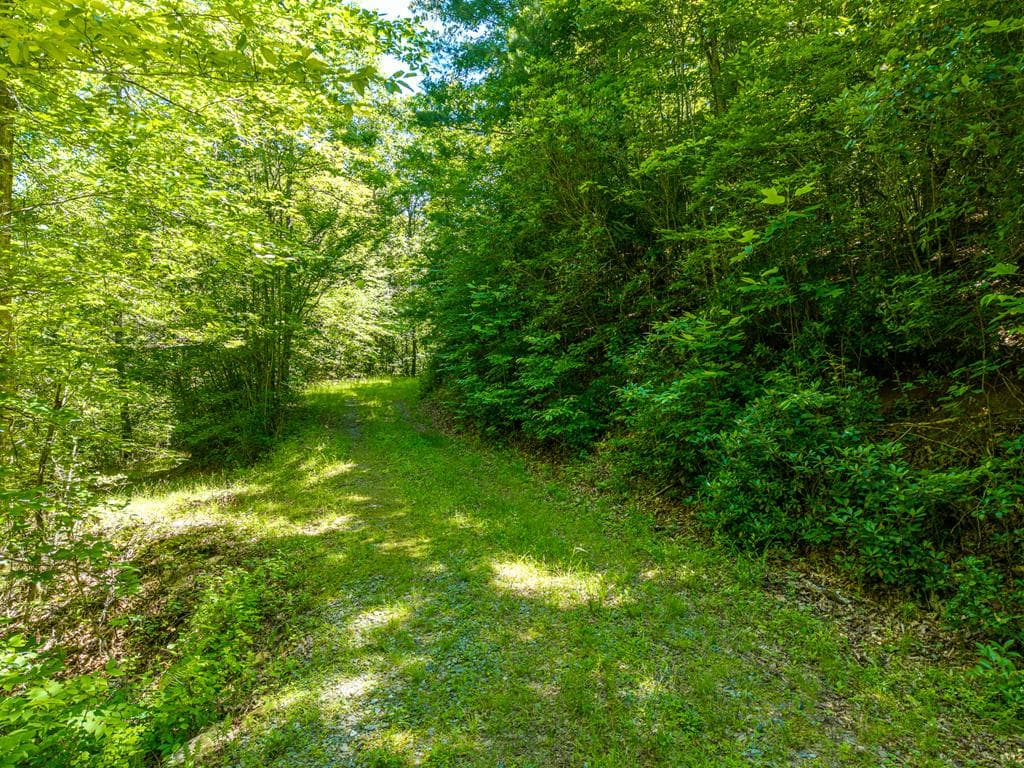 46 Green Kirby Lane, Blue Ridge GA 30513 - Photo