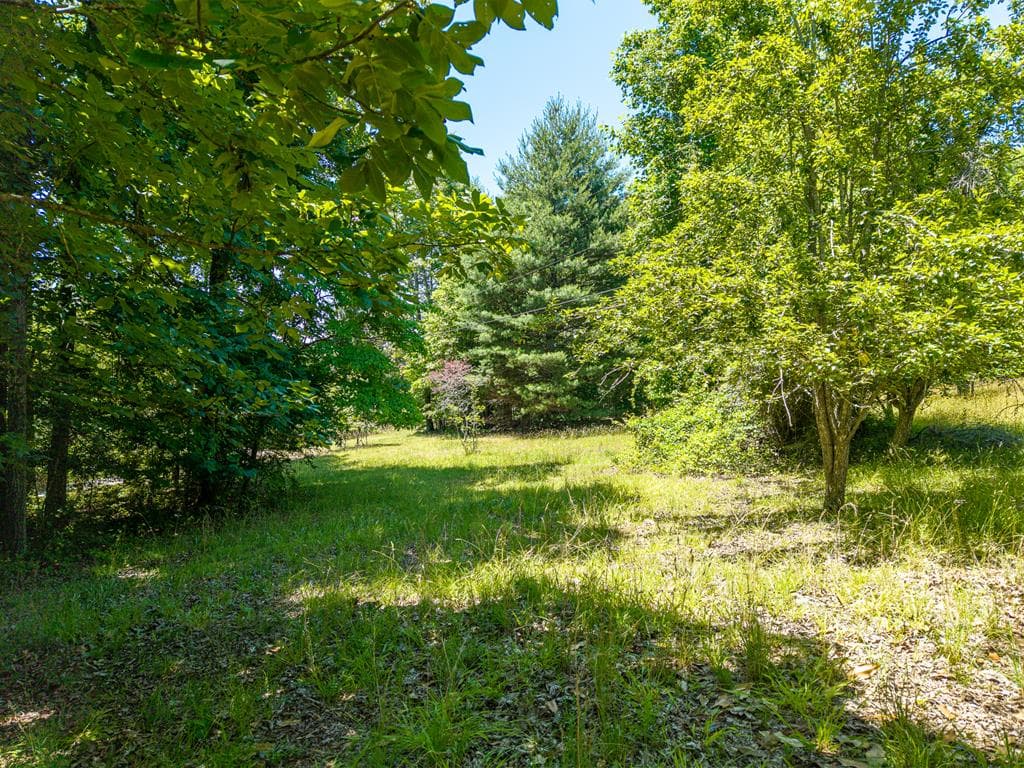 46 Green Kirby Lane, Blue Ridge GA 30513 - Photo