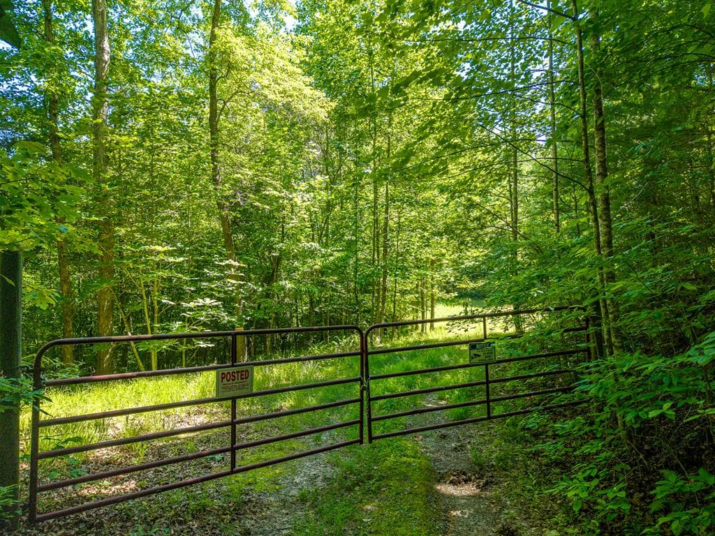 46 Green Kirby Lane, Blue Ridge GA 30513 - Photo