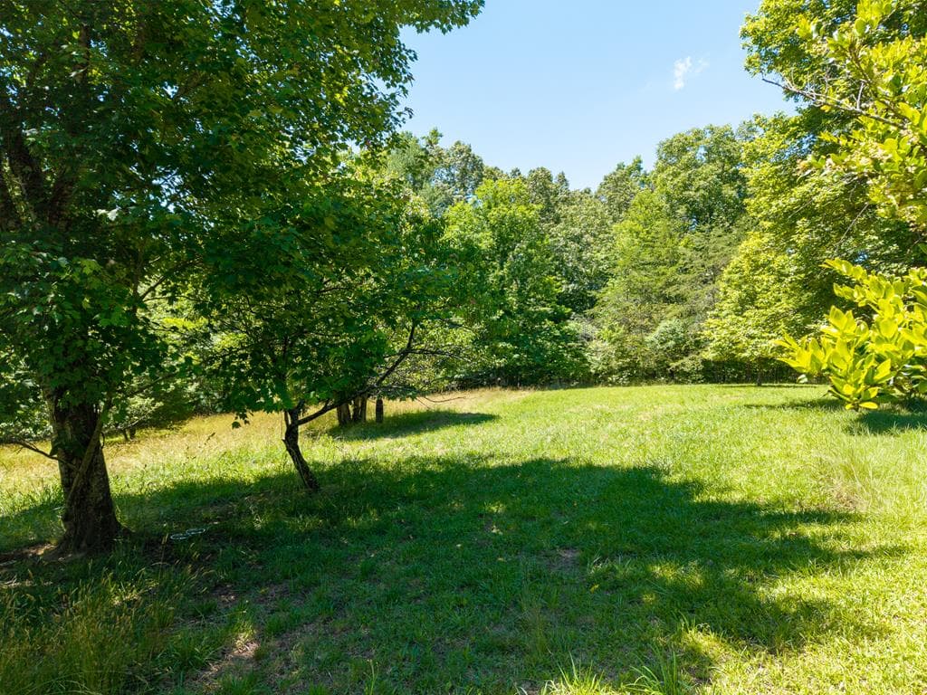 46 Green Kirby Lane, Blue Ridge GA 30513 - Photo