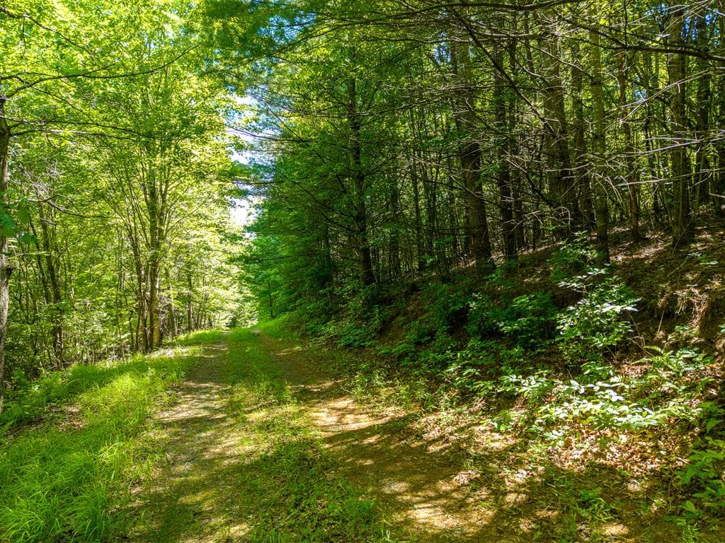 46 Green Kirby Lane, Blue Ridge GA 30513 - Photo