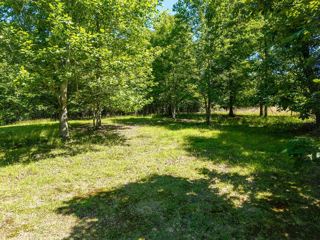 46 Green Kirby Lane, Blue Ridge GA 30513 - Photo