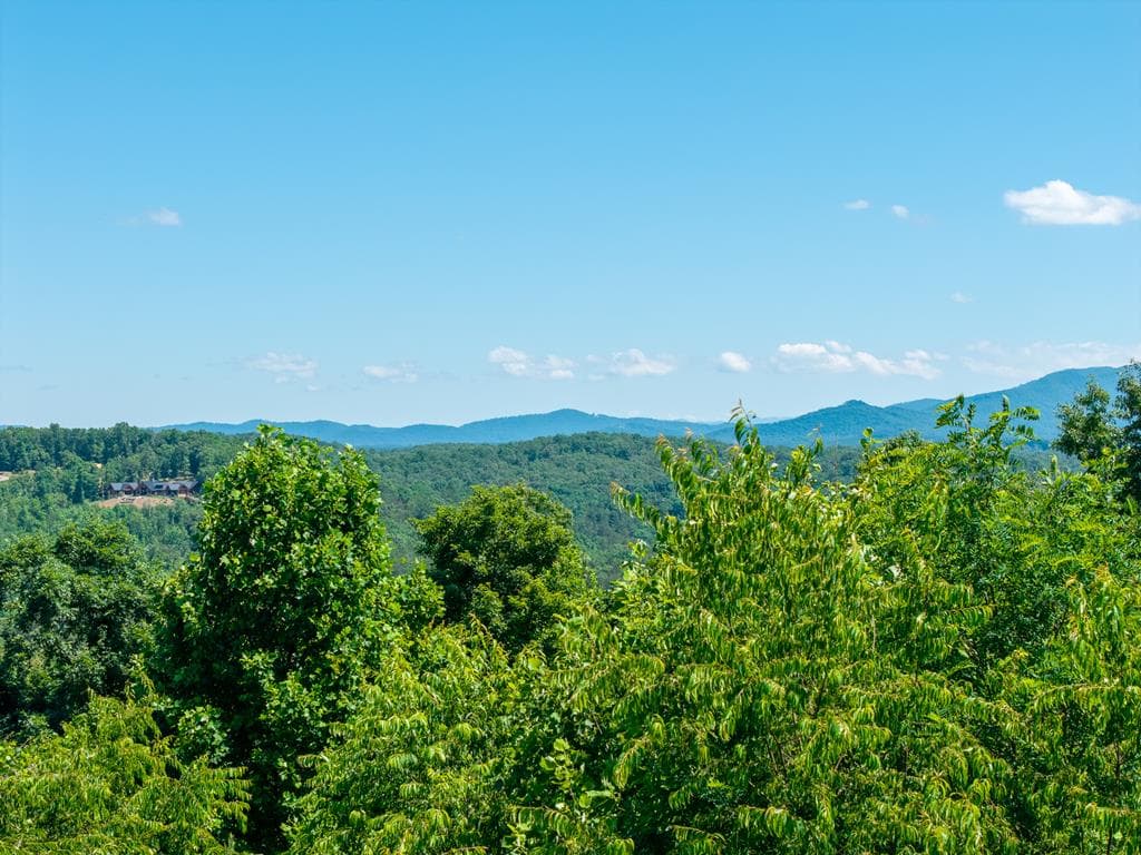 46 Green Kirby Lane, Blue Ridge GA 30513 - Photo