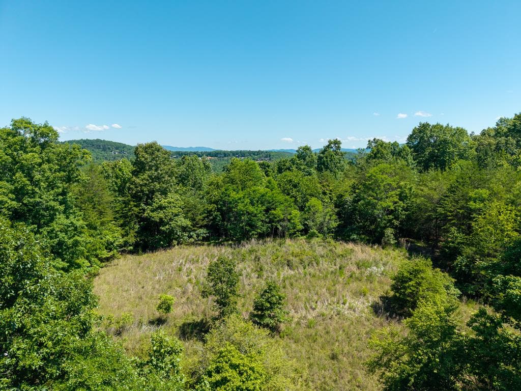 46 Green Kirby Lane, Blue Ridge GA 30513 - Photo