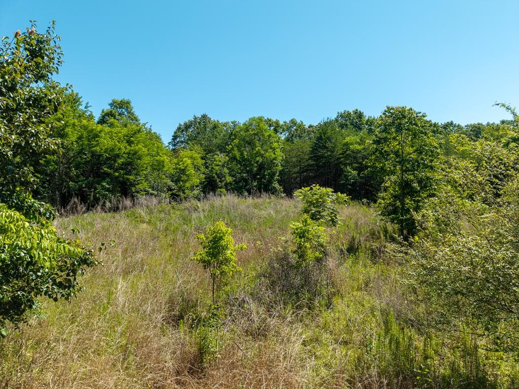 46 Green Kirby Lane, Blue Ridge GA 30513 - Photo