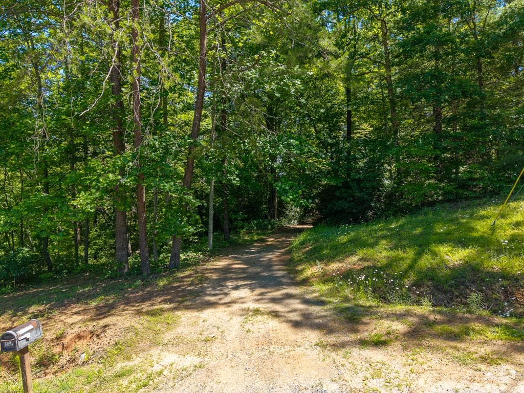 46 Green Kirby Lane, Blue Ridge GA 30513 - Photo