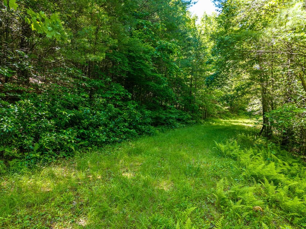46 Green Kirby Lane, Blue Ridge GA 30513 - Photo