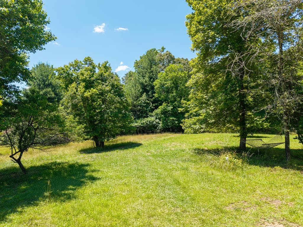 46 Green Kirby Lane, Blue Ridge GA 30513 - Photo