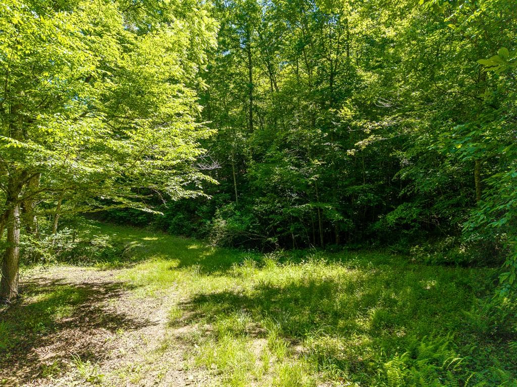 46 Green Kirby Lane, Blue Ridge GA 30513 - Photo