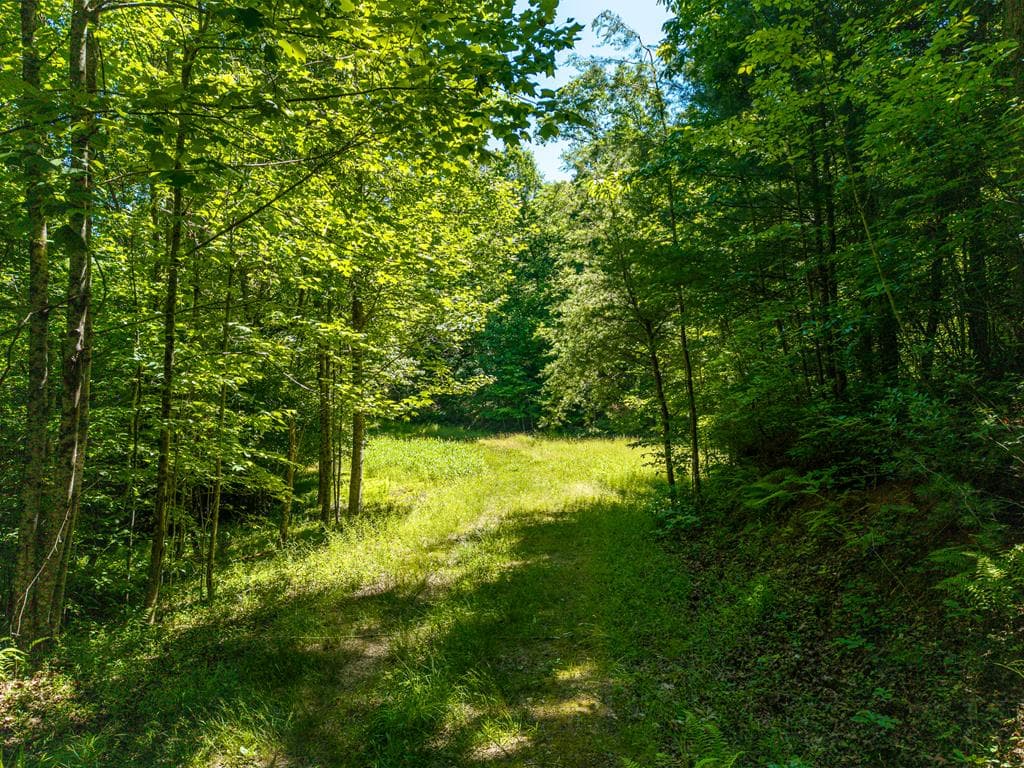 46 Green Kirby Lane, Blue Ridge GA 30513 - Photo