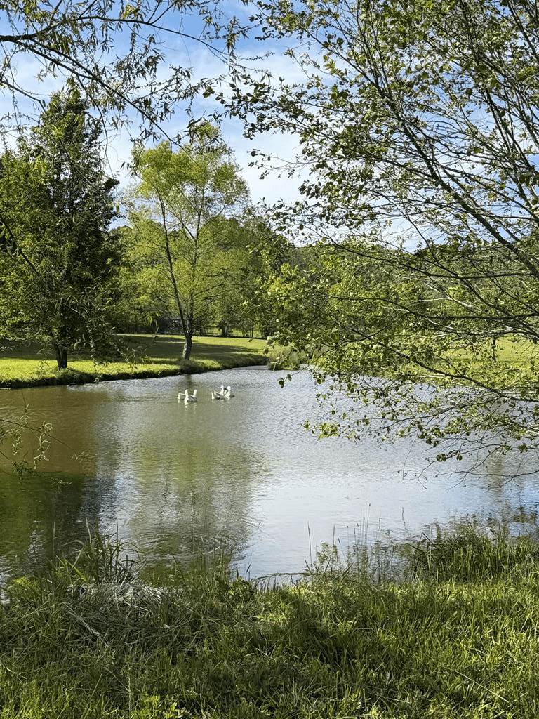 0 Barnett Road, Murphy NC 28906 - Primary photo