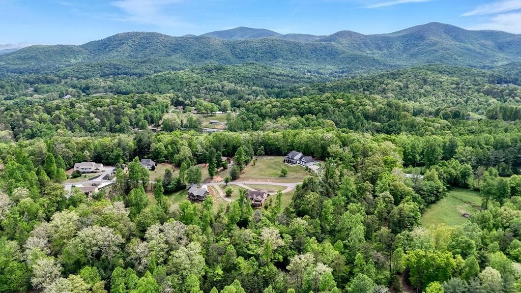 366 Upper Fox Trail, Blairsville GA 30512 - Photo