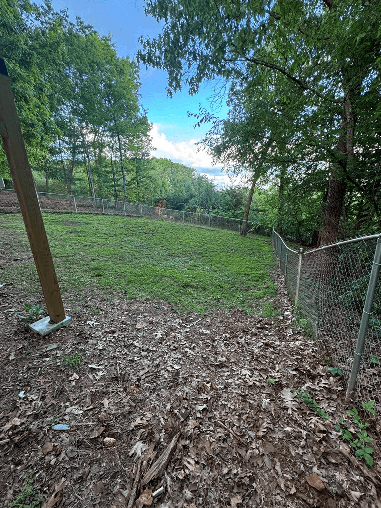 678 Lakeview Circle, Morganton GA 30560 - Photo